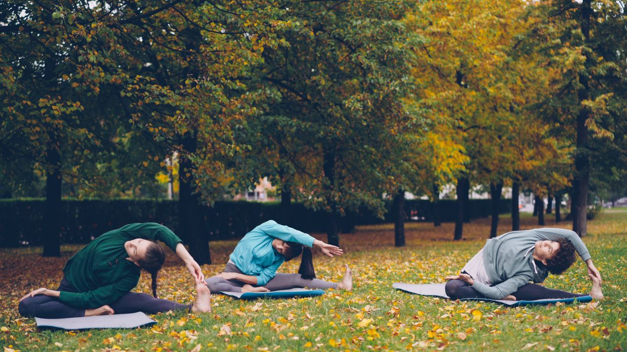 project-01-d Three people practicing yoga in a park during fall surrounded by trees.